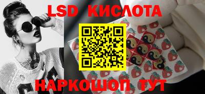 соль ск Новозыбков