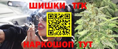 соль ск Новозыбков