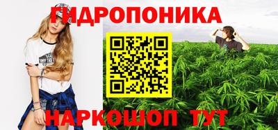 соль ск Новозыбков