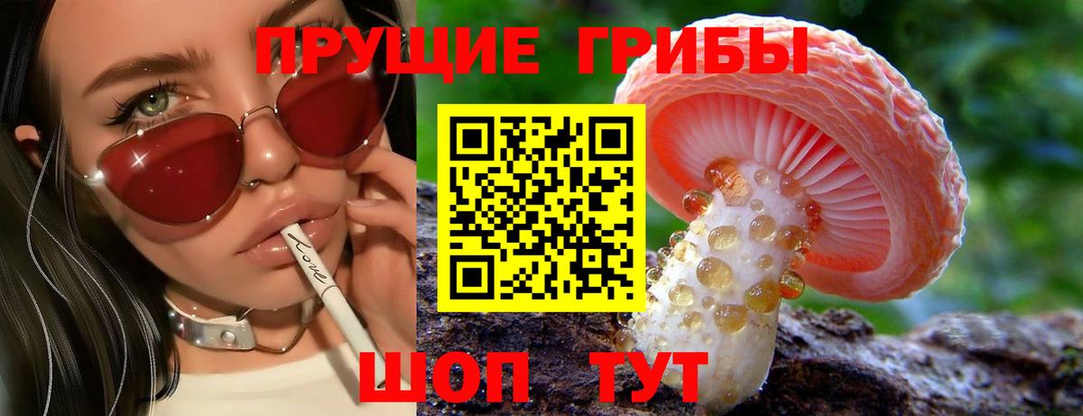 Галлюциногенные грибы Psilocybine cubensis Усть-Джегута